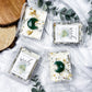 Rich Witch | Money Wax Melts