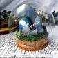 Crystal Garden Domes | Glass Cloche Altars | Intention, Beauty, Energy