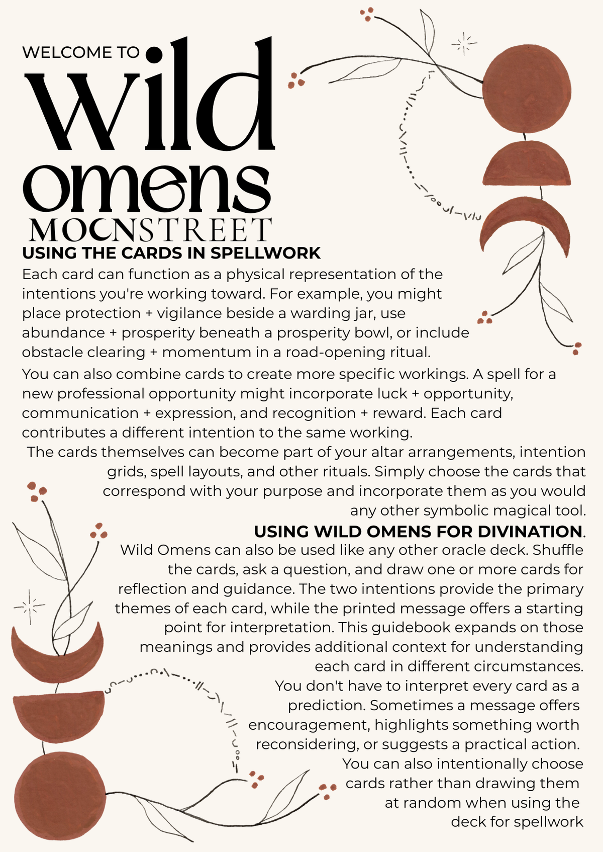 Wild Omens Oracle Deck | 44 Mini Oracle Cards for Divination & Witchcr ...