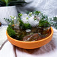 Terracotta Crystal Altar Bowl | Quartz Tealight Holder with Moon & Moss | Meditation & Witchcraft Decor