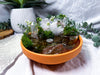 Terracotta Crystal Altar Bowl | Quartz Tealight Holder with Moon & Moss | Meditation & Witchcraft Decor