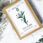The Coin Apothecary Set | Herbal Blend for Money, Opportunity, and Prosperity Magic