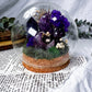 Crystal Garden Domes | Glass Cloche Altars | Intention, Beauty, Energy