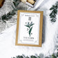 The Coin Apothecary Set | Herbal Blend for Money, Opportunity, and Prosperity Magic