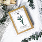 The Coin Apothecary Set | Herbal Blend for Money, Opportunity, and Prosperity Magic