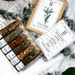 The Coin Apothecary Set | Herbal Blend for Money, Opportunity, and Prosperity Magic