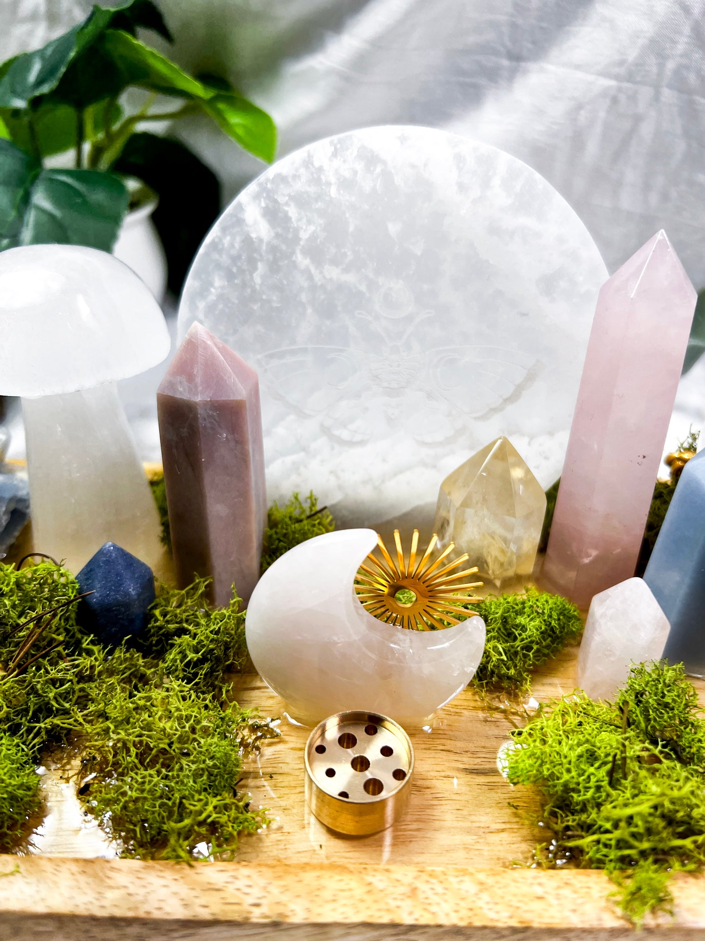 Lunar Bloom | Mango Wood Altar