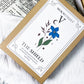 The Shield Apothecary Set | Herbal Blend for Protection, Banishing, and Energetic Defense