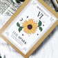The Spark Apothecary Set | Herbal Blend for Energy, Motivation, and Spell Activation