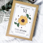 The Spark Apothecary Set | Herbal Blend for Energy, Motivation, and Spell Activation