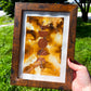 Golden Abundance |  7x10 Manifestation + Success Sigil Art