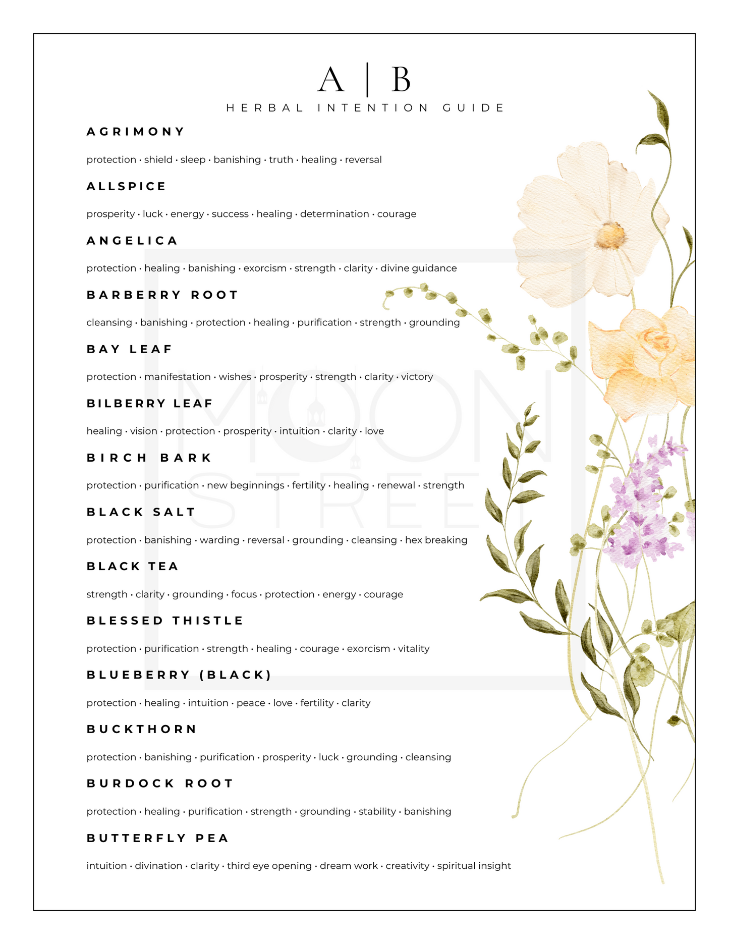 Witchy Ingredients | Intention Guide PDF DOWNLOAD