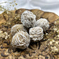 Desert Rose | Medium Rough