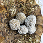 Desert Rose | Medium Rough