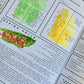 27 Page Kitchen Witch Book Of Shadows Digital Download Print With Labels