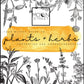 Witchy Herb + Plants Guide PDF Download