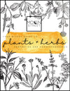 Witchy Herb + Plants Guide PDF Download