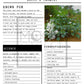 Witch Poisonous Herb Mini Book | Art Prints | Printed + Shipped