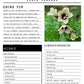 Witch Poisonous Herb Mini Book | Art Prints | Printed + Shipped